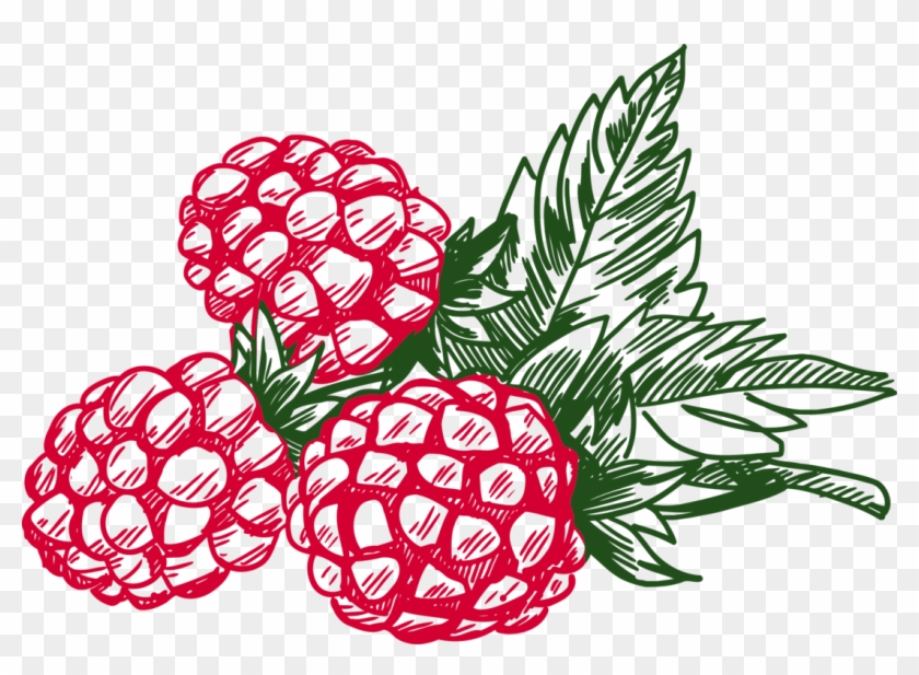 Medium Image - Medium Image #1560183