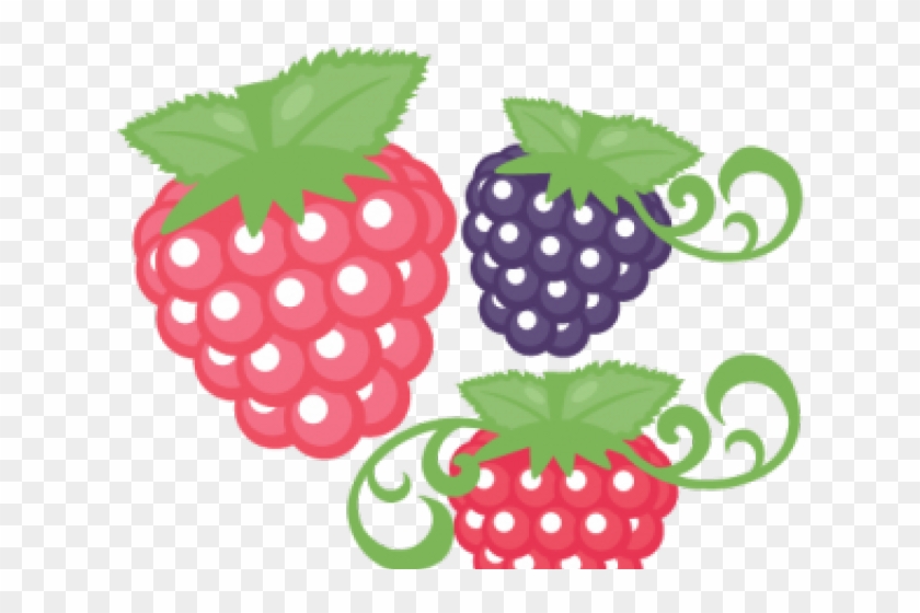 Raspberries Clipart Cute - Raspberries Clipart Cute #1560189