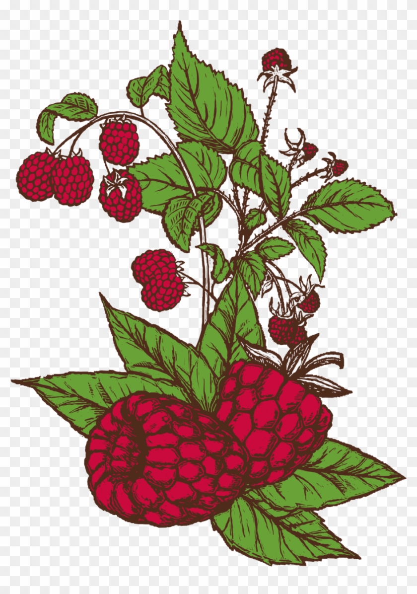 See All Beers - See All Beers #1560198