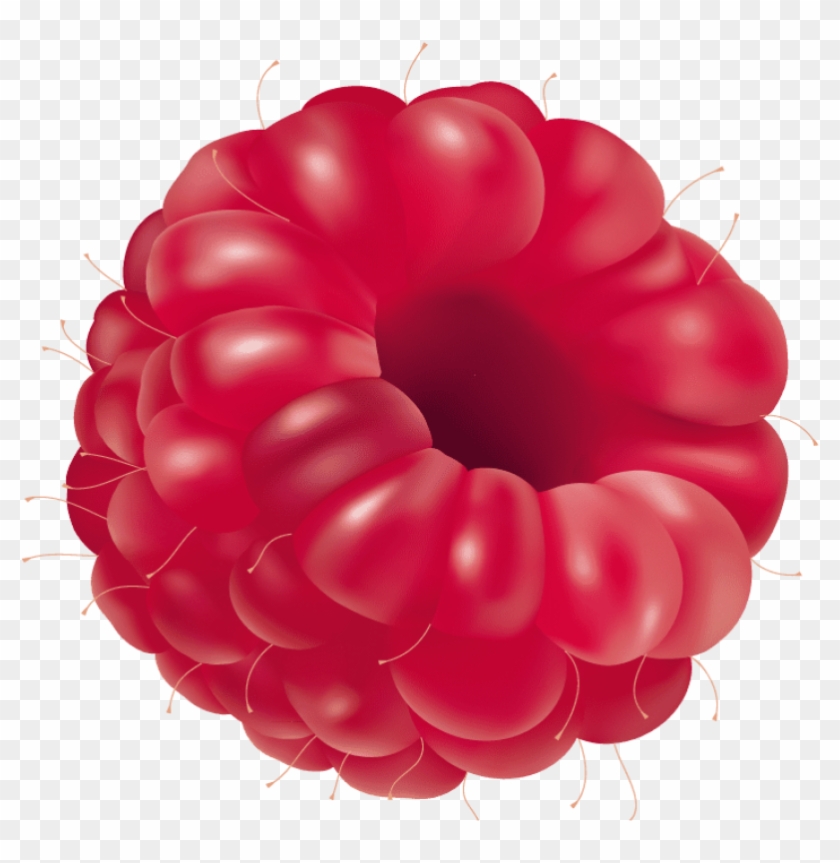 Download Raspberry Clipart Png Photo - Download Raspberry Clipart Png Photo #1560225