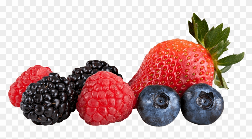 Berries Clipart Banner - Berries Clipart Banner #1560230