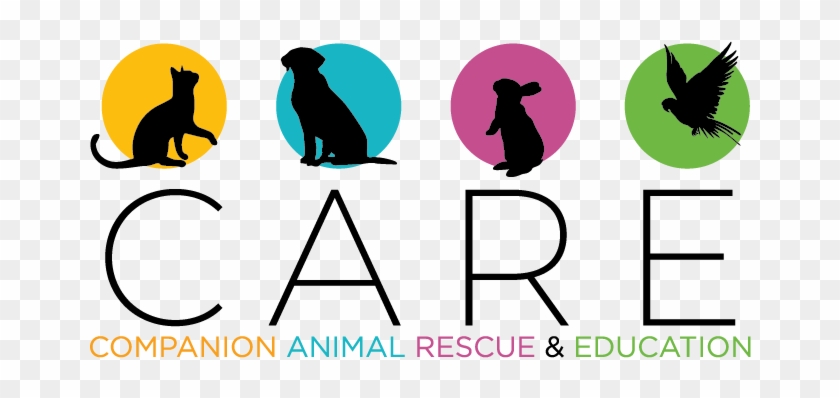 Companion Animal Rescue & Education - Companion Animal Rescue & Education #1560699