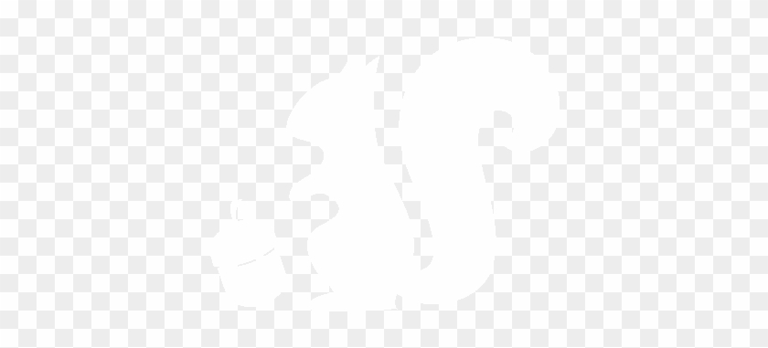 Trees Provide Food & Shelter For A Diverse Array Of - Trees Provide Food & Shelter For A Diverse Array Of #1560723