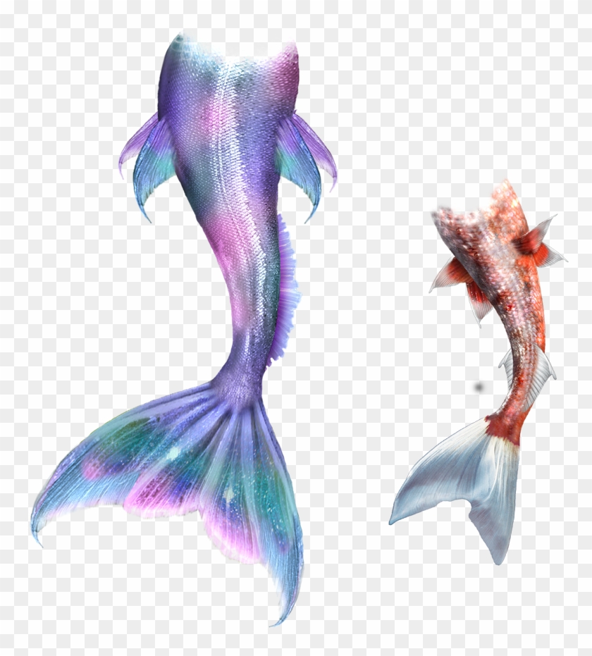 Mermaid Tail Clipart Merman - Mermaid Tail Clipart Merman #1561075