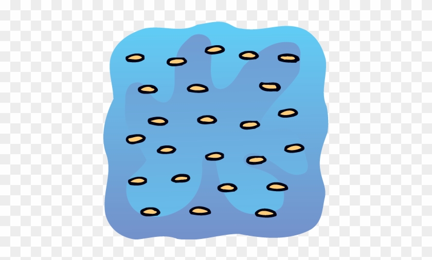 Sesame Seeds - Sesame Seeds #1561177