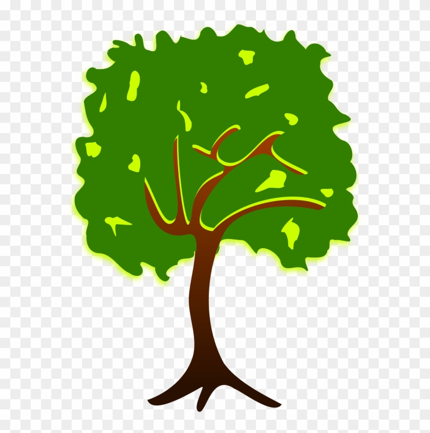 Branch Tree Drawing Plant Nature Story - Branch Tree Drawing Plant Nature Story #1561530