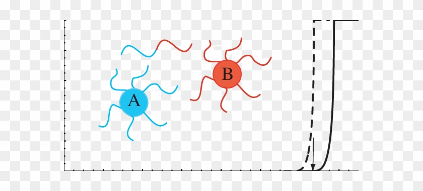 Computed Temperature Dependence Of The Fraction Of - Computed Temperature Dependence Of The Fraction Of #1561554