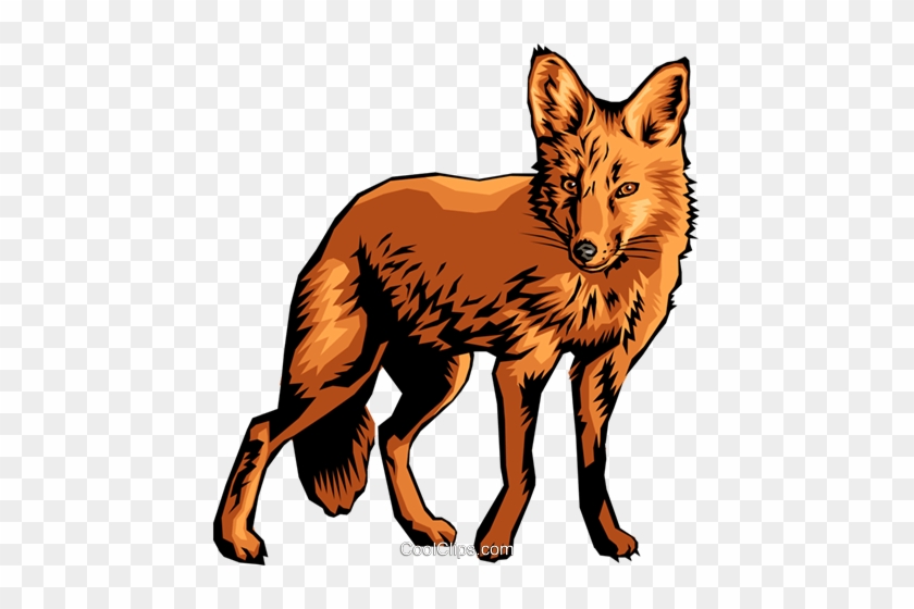 Fox Royalty Free Vector Clip Art Illustration - Fox Royalty Free Vector Clip Art Illustration #1561967
