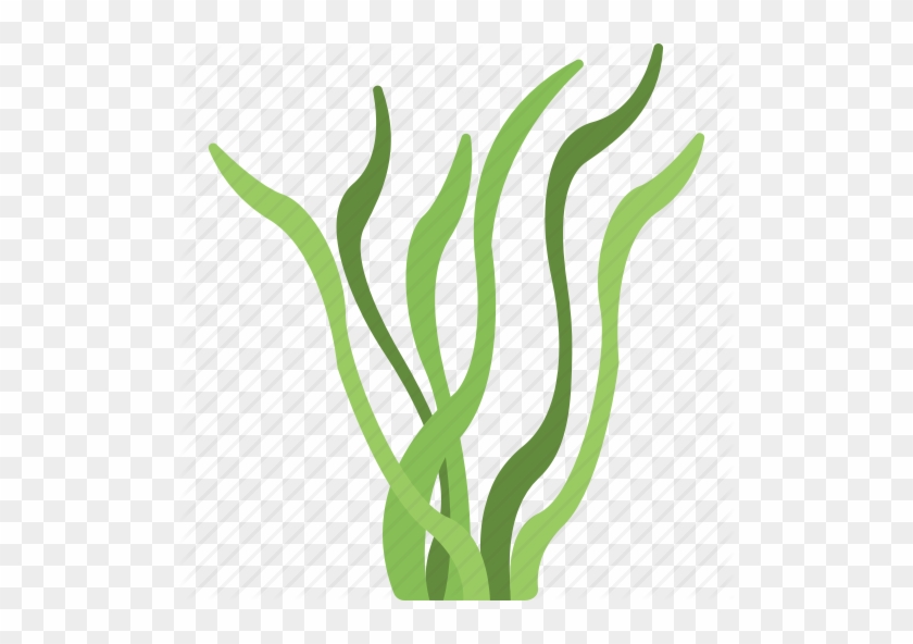 Download Alga Emoji Png Clipart Algae Clip Art - Download Alga Emoji Png Clipart Algae Clip Art #1561995