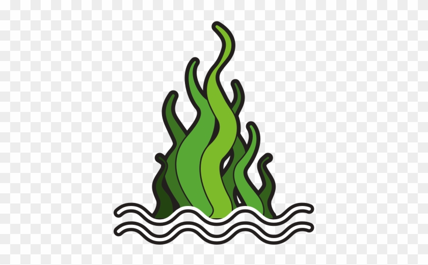 19 Seaweed Graphic Royalty Free Marine Plant Huge Freebie - 19 Seaweed Graphic Royalty Free Marine Plant Huge Freebie #1562006