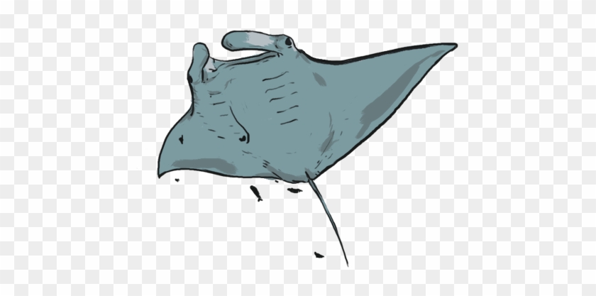 Did You Know - Did You Know #1562010