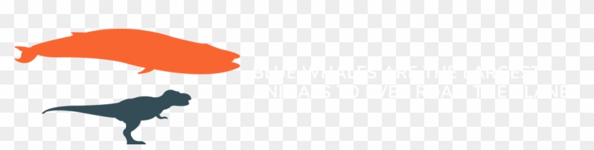 Did You Know - Did You Know #1562017