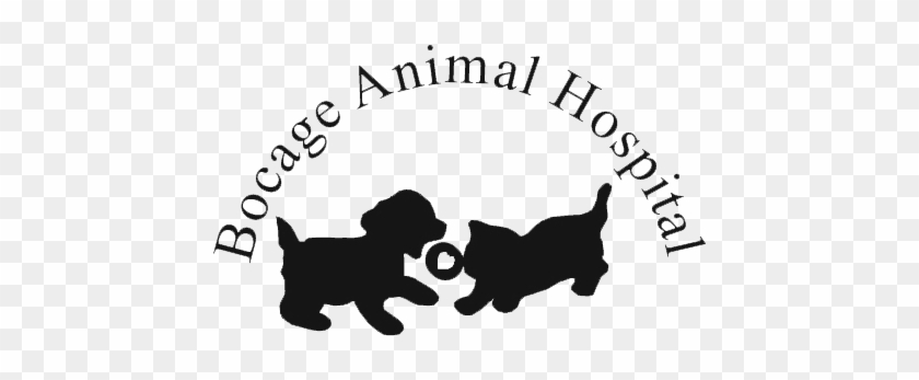 Bocage Animal Hospital - Bocage Animal Hospital #1562193