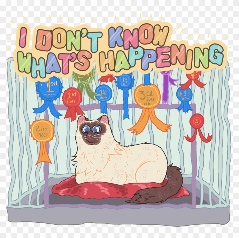 Ive Assembled My Finest Teampic - Ive Assembled My Finest Teampic #1562397