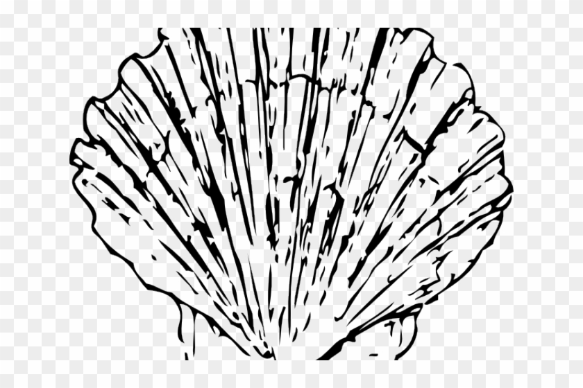 Shell Clipart Fossil - Shell Clipart Fossil #1562411