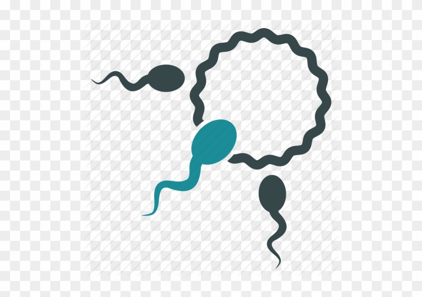 Bilderesultat For Reproduction Icon - Bilderesultat For Reproduction Icon #1562479