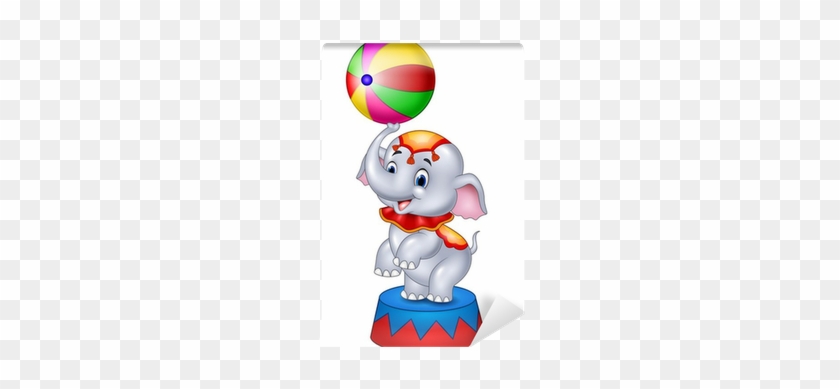 Cute Circus Elephant With A Striped Ball Stands On - Cute Circus Elephant With A Striped Ball Stands On #1562742