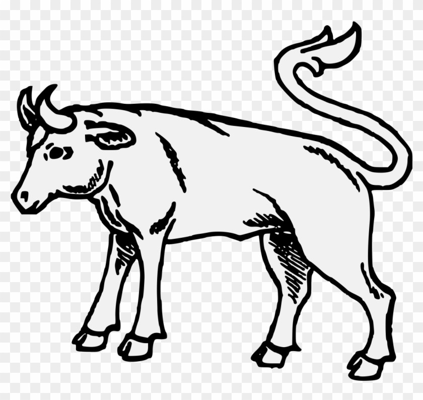 Bull Statant - Bull Statant #1562753