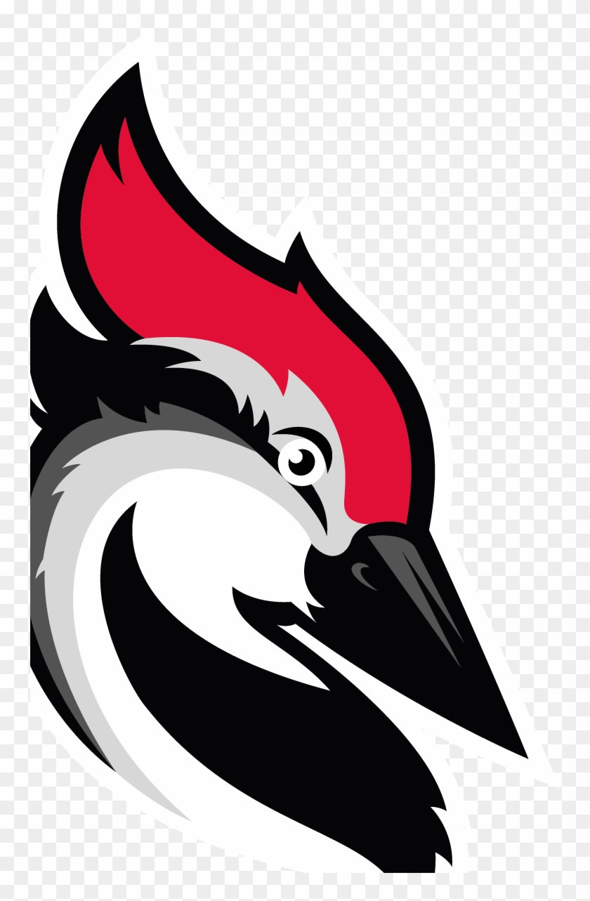 Woodpecker Iamge Woodpecker - Woodpecker Iamge Woodpecker #1563554