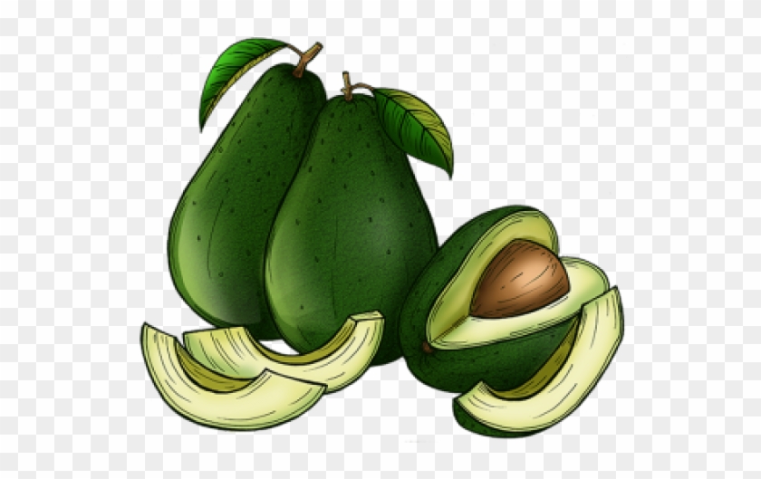 Avocado, Avocado, Food, Background Png And Psd - Avocado, Avocado, Food, Background Png And Psd #1563772