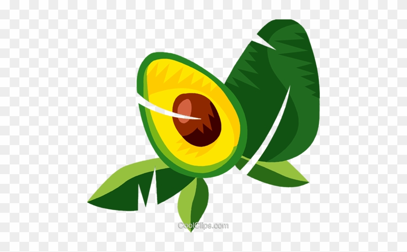 Sliced Papaya Royalty Free Vector Clip Art Illustration - Sliced Papaya Royalty Free Vector Clip Art Illustration #1563785