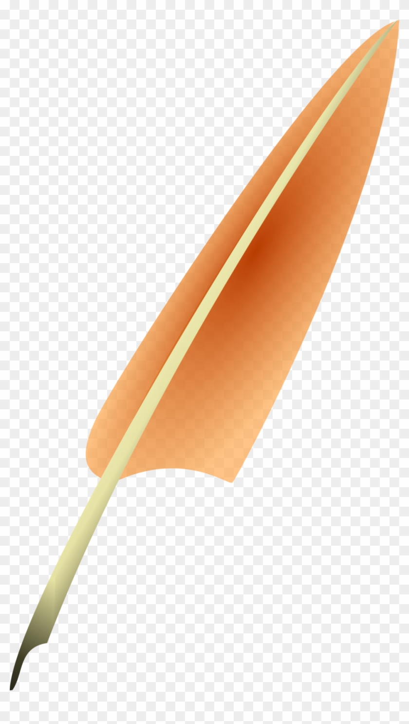 Used Quill - Used Quill #1563830