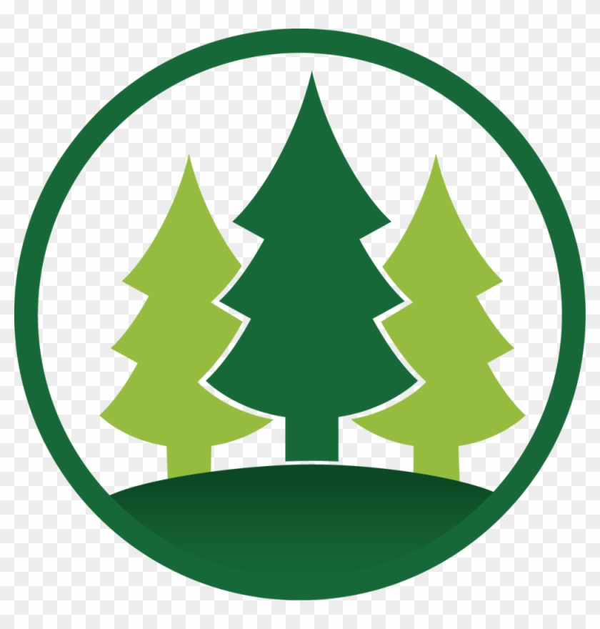 Pine Tree Clipart Camp - Pine Tree Clipart Camp #1564045