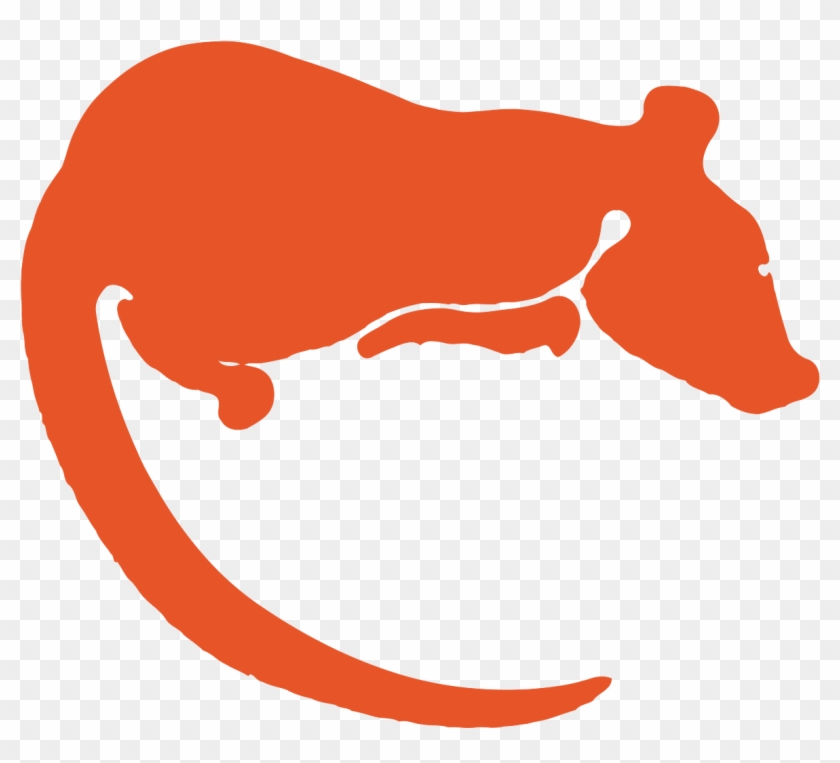 Rats - Rats #1564251