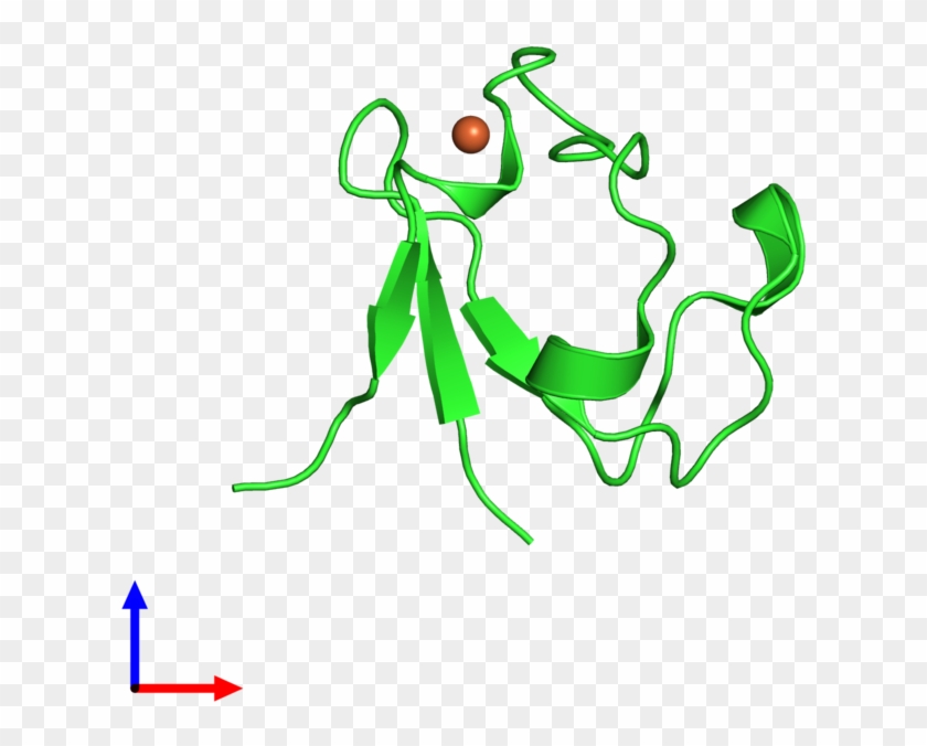 Pdb 3kyu Coloured By Chain And Viewed From The Front - Pdb 3kyu Coloured By Chain And Viewed From The Front #1564505