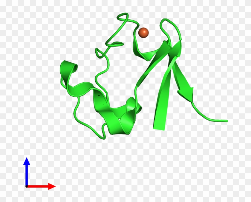 Pdb 1cad Coloured By Chain And Viewed From The Front - Pdb 1cad Coloured By Chain And Viewed From The Front #1564510