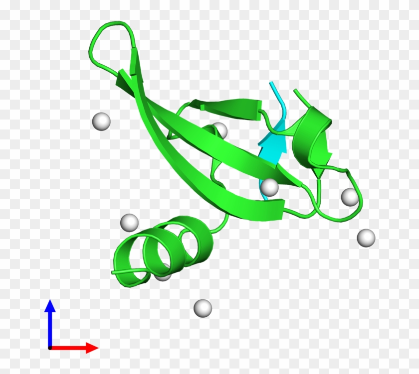 Pdb 5epk Coloured By Chain And Viewed From The Front - Pdb 5epk Coloured By Chain And Viewed From The Front #1564514
