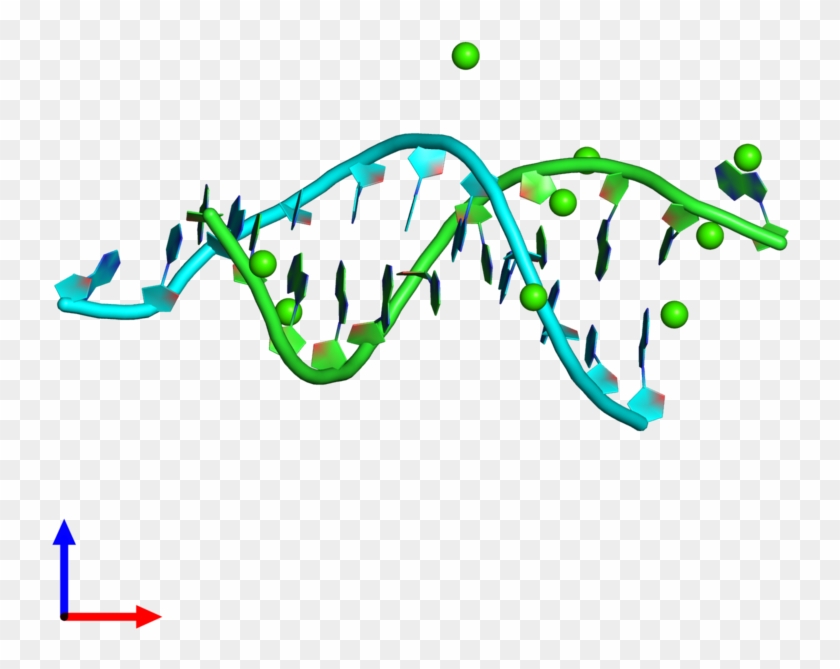 Pdb 5ktv Coloured By Chain And Viewed From The Front - Pdb 5ktv Coloured By Chain And Viewed From The Front #1564537