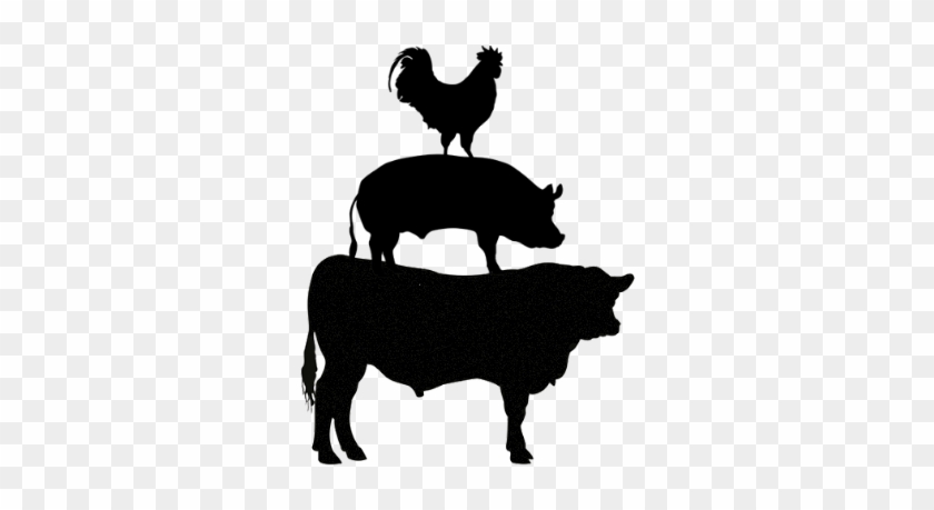 Fundraiser - Fundraiser #1564620