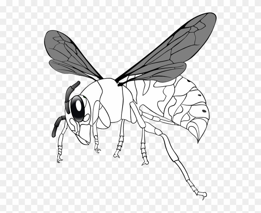 Bee Line Art - Bee Line Art #1564811