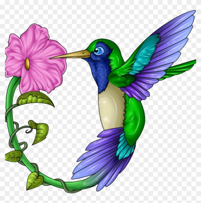 Humming Bird Clipart 19 Hummingbird Clip Art Free Stock - Humming Bird Clipart 19 Hummingbird Clip Art Free Stock #1564815