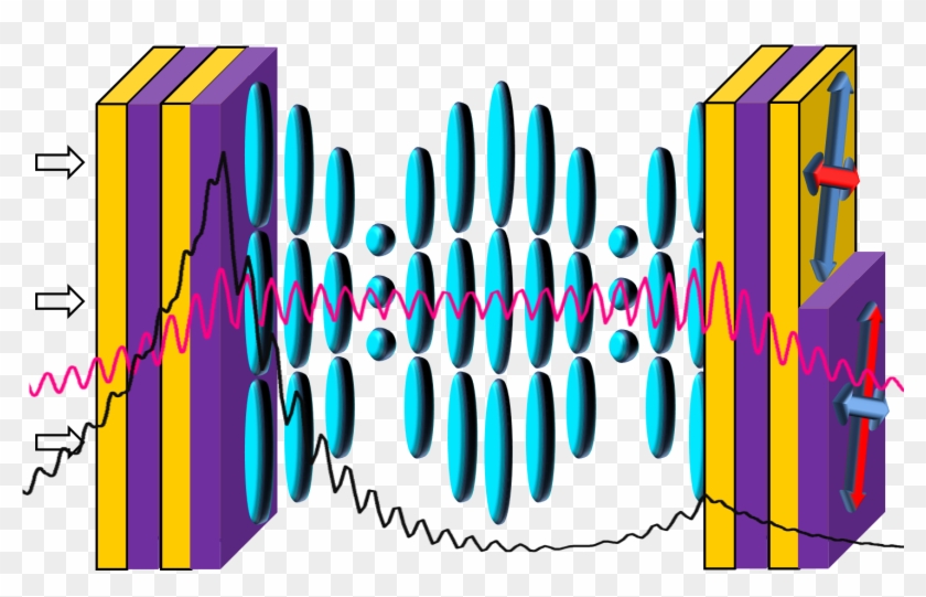 Graphical Abstract - Graphical Abstract #1565231