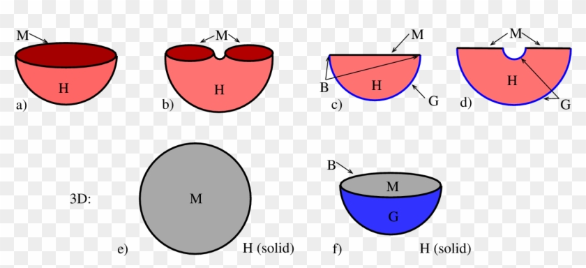 Euclidean Path Integrals Defining A) A State Of A 2d - Euclidean Path Integrals Defining A) A State Of A 2d #1565242