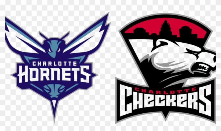 Charlotte Hornets Png Hd - Charlotte Hornets Png Hd #1565351
