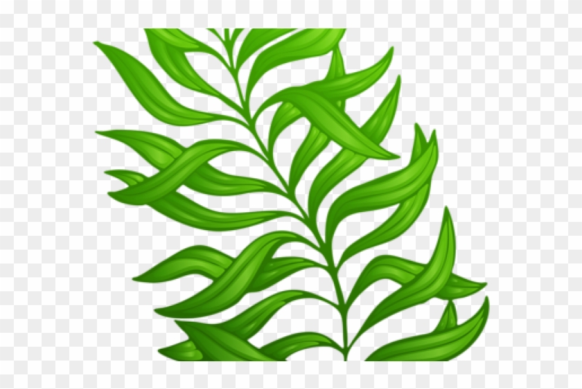 Exotic Clipart Leaf - Exotic Clipart Leaf #1565501