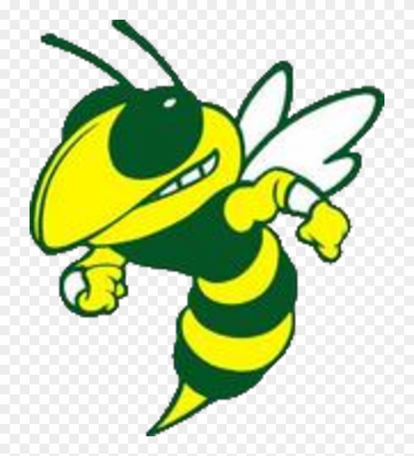 The Rayville Hornets - The Rayville Hornets #1565918
