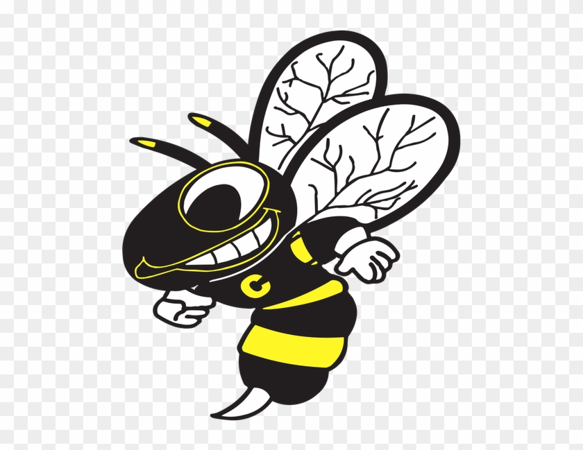 Hornet Clipart Cadott - Hornet Clipart Cadott #1565931