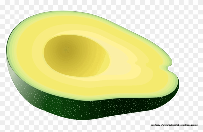 Avocado Clipart - Avocado Clipart #1566120