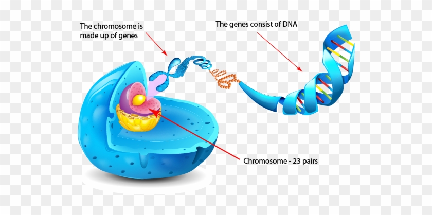 If You Think Of Genetics As The Book Of Life, Then - If You Think Of Genetics As The Book Of Life, Then #1566204