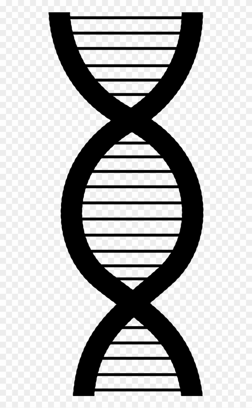 Genetic Clip Art #1566222