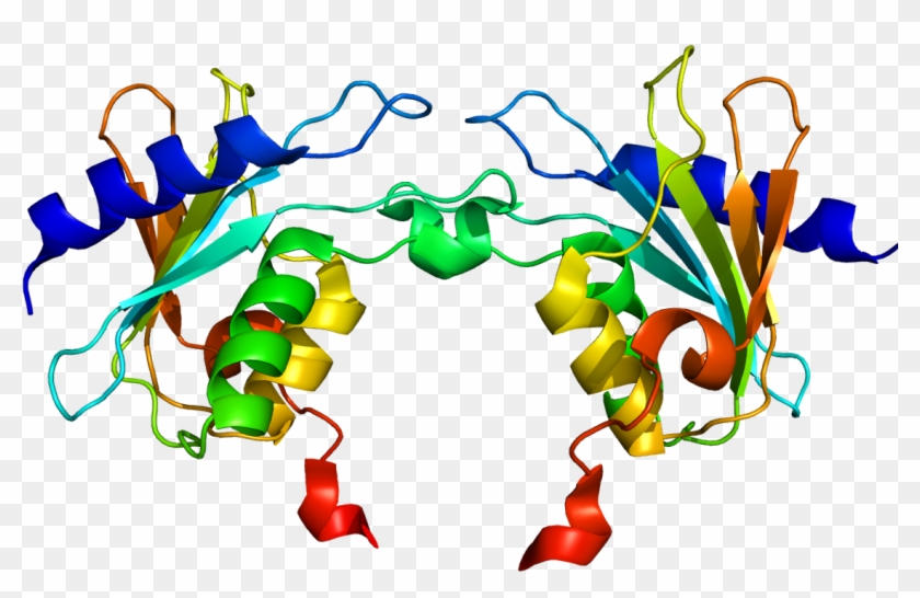 Phenylketonuria Cured In Mouse Model By Adaptation - Phenylketonuria Cured In Mouse Model By Adaptation #1566223