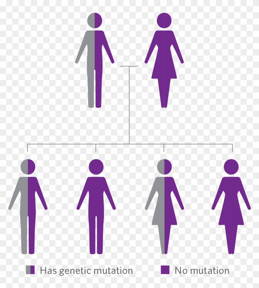 Typically Genetic Testing Is Recommended For Adults, - Typically Genetic Testing Is Recommended For Adults, #1566230