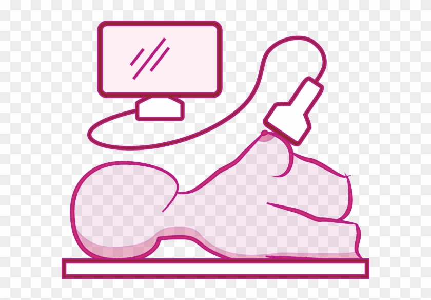 Ultrasound - Ultrasound #1566613