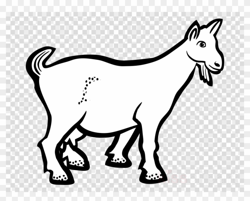 Goat Black And White Clipart Boer Goat Black Bengal - Goat Black And White Clipart Boer Goat Black Bengal #1566653