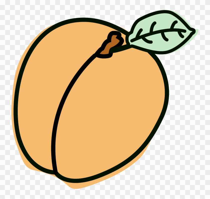 “fantasme” Apricot Sorbet - “fantasme” Apricot Sorbet #1566851