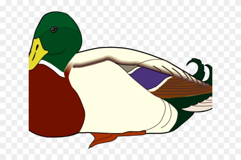 Mandarin Duck Clipart Nurse - Mandarin Duck Clipart Nurse #1566955